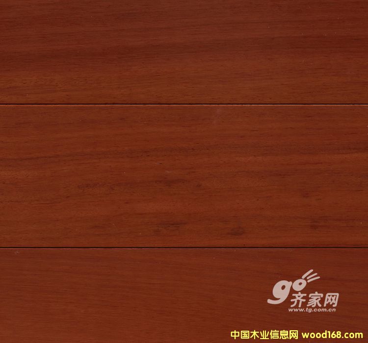 唐木的詳細介紹