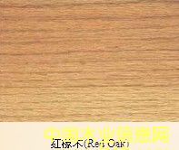 紅橡木的詳細(xì)介紹