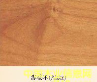 赤楊木的詳細(xì)介紹