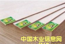 �o��ȩ�z��ľ���\��ȫ����������Ԕ��(x��)��B