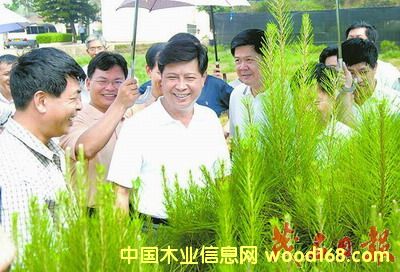 �V�|��֬�� �������֘��� �������L(zh��ng)����