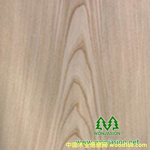 ����Ȼ��ľľƤ