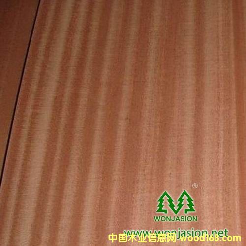 ɳ������Ԕ����B