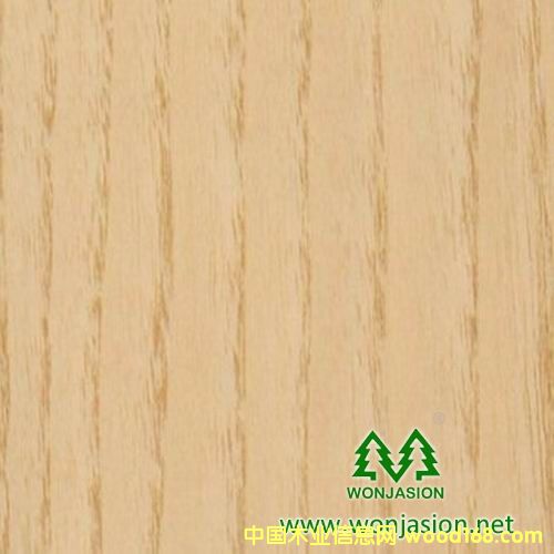 白栓的詳細介紹