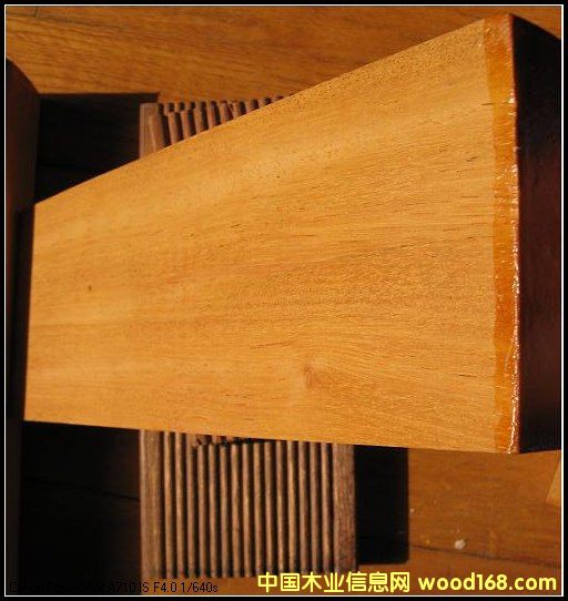 巴蒂木的詳細(xì)介紹