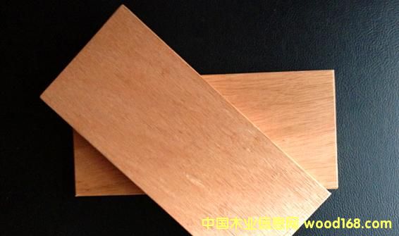 紅柳桉木的詳細(xì)介紹