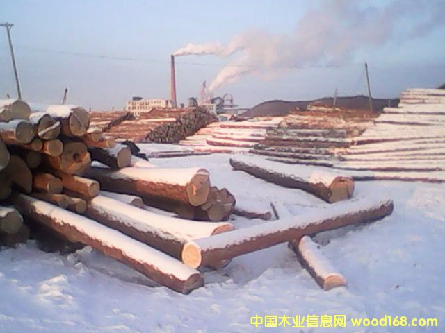 ������ԭľ��Ԕ��(x��)��B