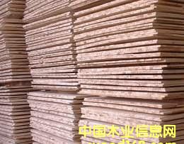 ��(x��)ľ����о��Ԕ��(x��)��B