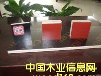 3*6��1��*2�׽�����Ĥ���Ԕ��(x��)��B