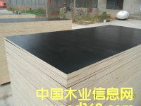 3*6�߸�Ĥ���Ԕ��(x��)��B