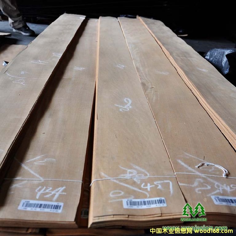 安利格的詳細(xì)介紹