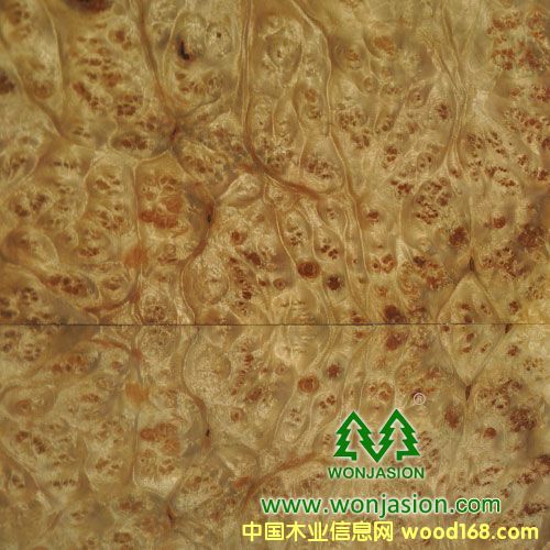 ����(d��ng)�Ș����Ԕ��(x��)��B