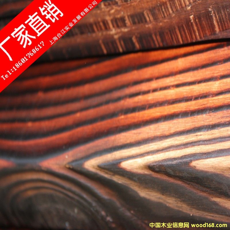 �Fɼ/�F��̿��ľ