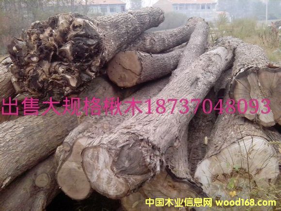 �ľԭľ��Ԕ����B