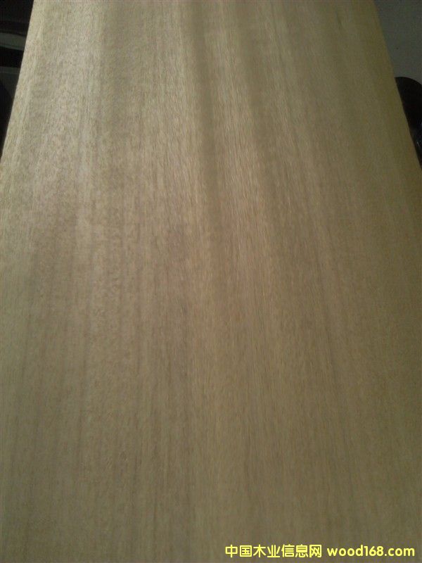 金絲柚的詳細(xì)介紹