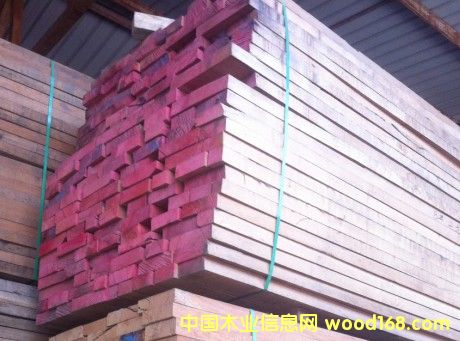 漆木的詳細介紹