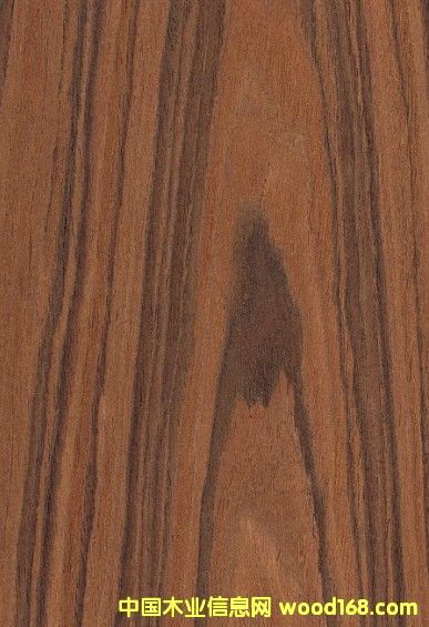 酸枝的詳細介紹