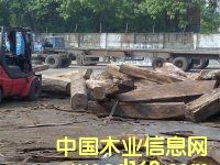 �灆����Ƥ��|������ľ|�������ľ|�S��|�����M(j��n)�����P(gu��n)