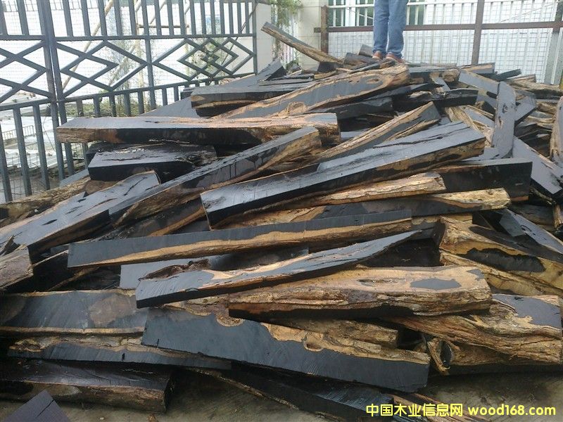 Ƥ��|����̴|���S̴|����֦|��̴|��̴|�S��|�����M�ڈ��P(gu��n)