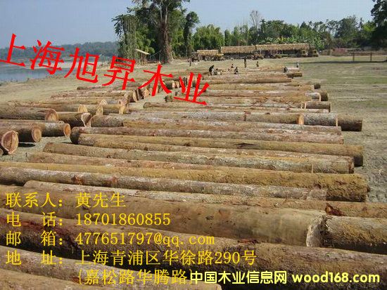 ��¡ľ ԭľ�ӹ������Ԕ����B