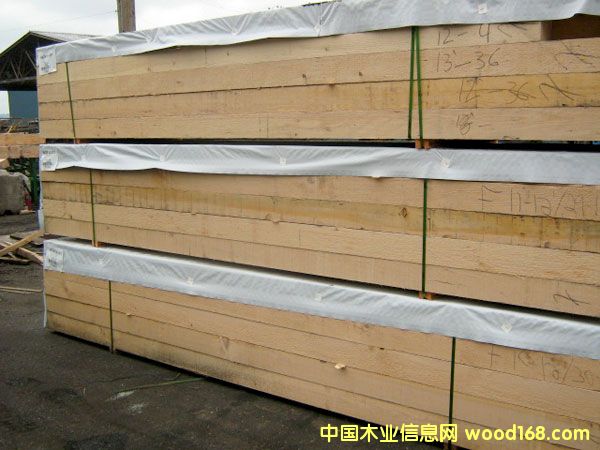 鐵杉的詳細(xì)介紹