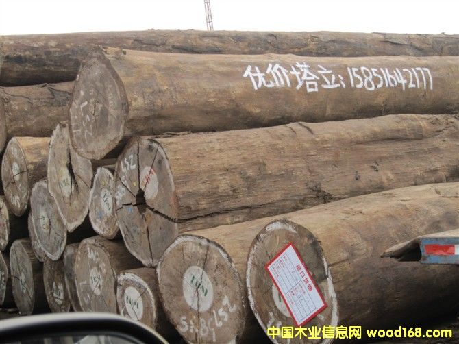 ������Ԕ����B