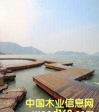 �����N������������3101/3102