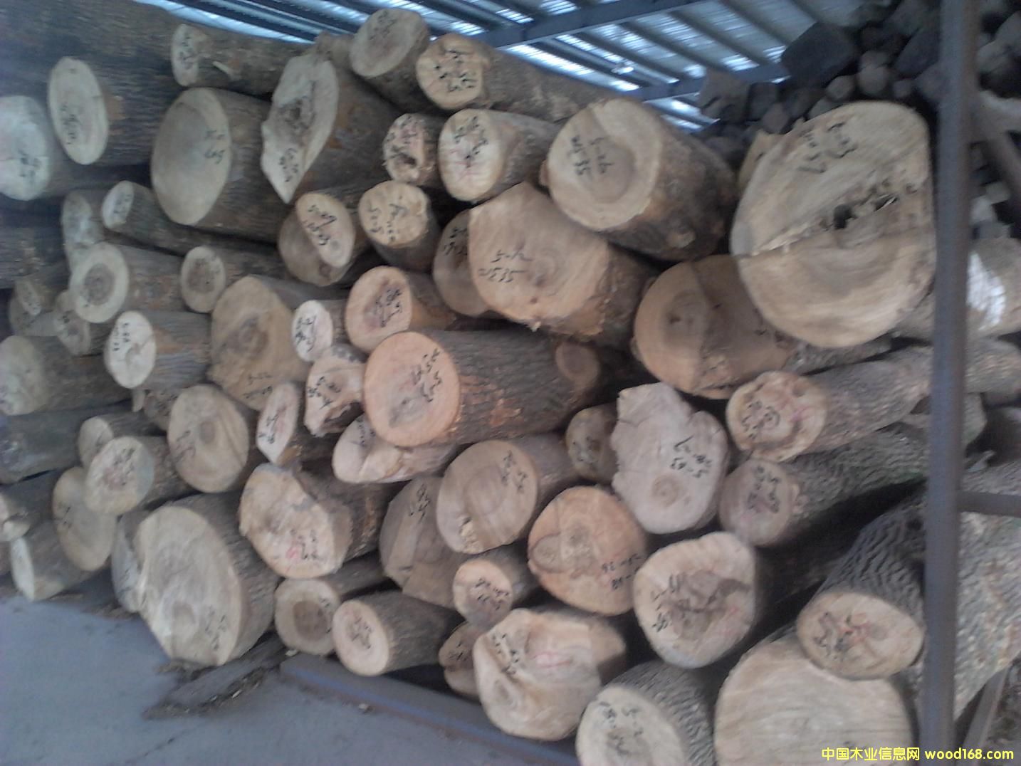 ����ľ��Ԕ��(x��)��B