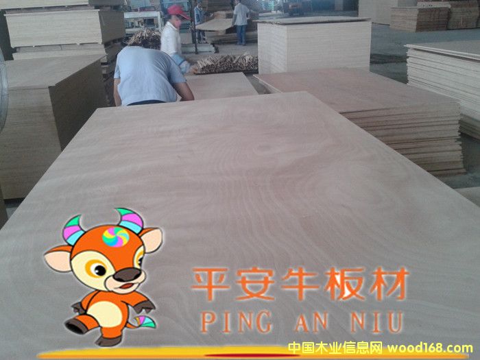 �ߙn�Ҿ߶��Ӱ��������z�ϰ�����ľ�N���