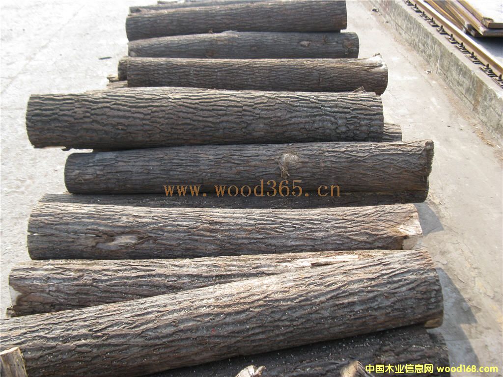 楸木方材的詳細(xì)介紹