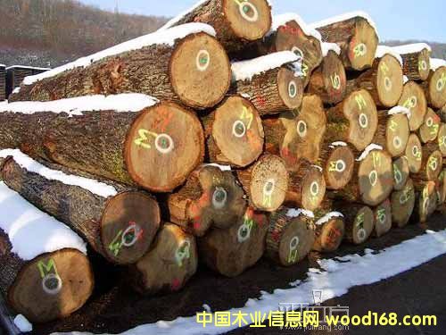 柞木方材的詳細(xì)介紹