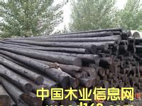 浸油電桿的詳細(xì)介紹