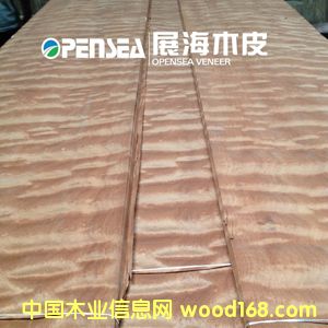 ����������ľƤ��Ԕ��(x��)��B