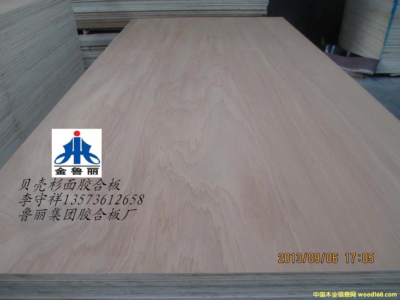 ؐ��ɼ���z�ϰ��Ԕ��(x��)��B