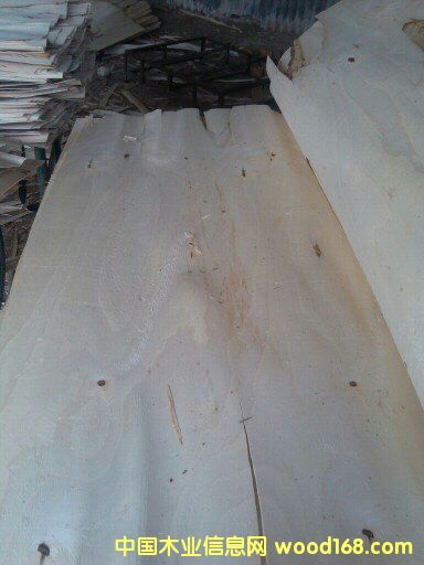 ��ľƤ�ӣ��A�ģ���Ԕ��(x��)��B