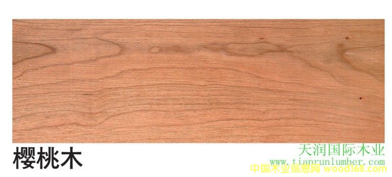 ����ľ Cherry