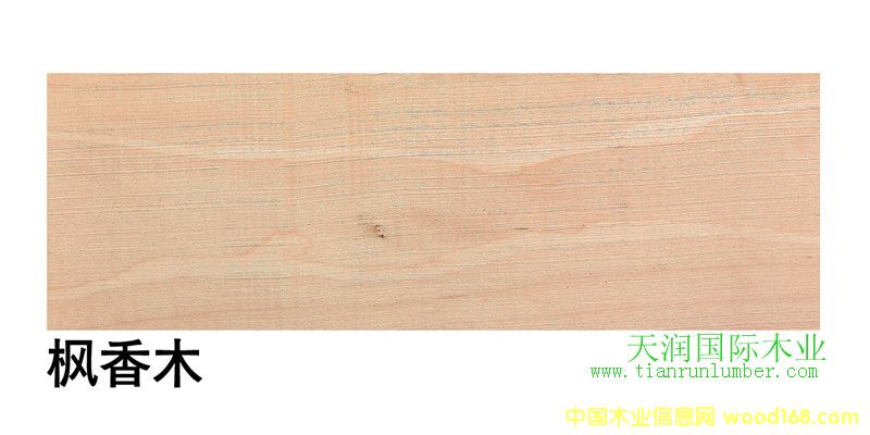 ����(gu��)����ľSap Gum��Ԕ��(x��)��B