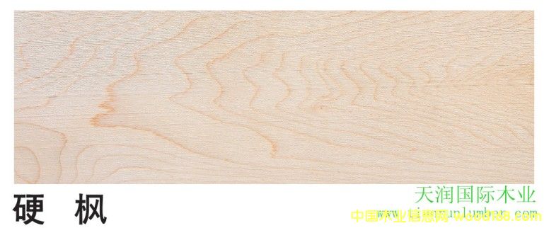 Ӳ   �� Hard Maple