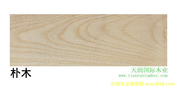 ��  ľ  Hackberry