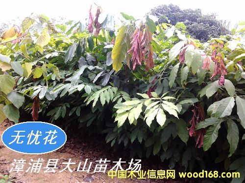 [��] �o�n�����o�n��������䣩