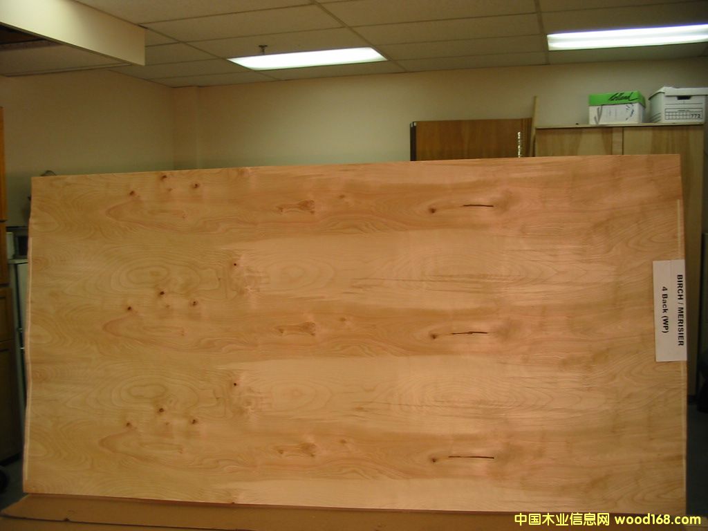 ��ľ�L�а��Ԕ��(x��)��B