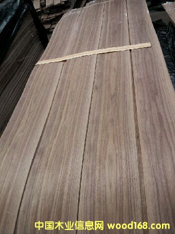 �ں���ɽ�y