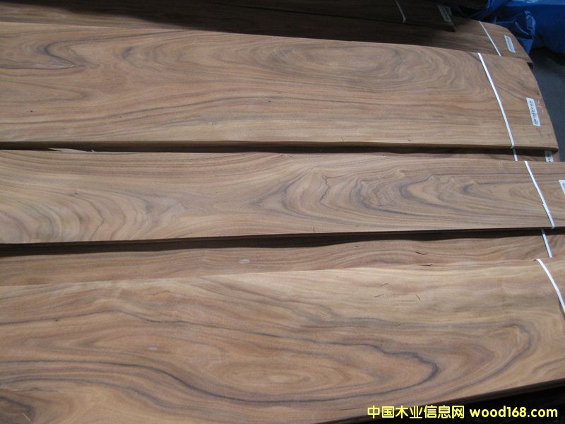 ������֦ľƤ��Ԕ��(x��)��B