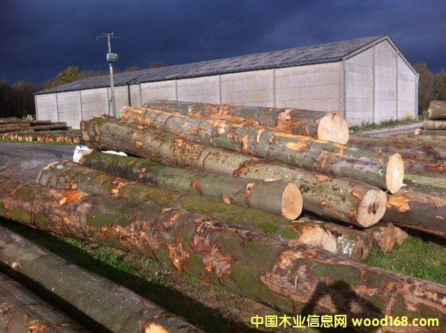 �·�ABC��ľԭľ��Ԕ����B