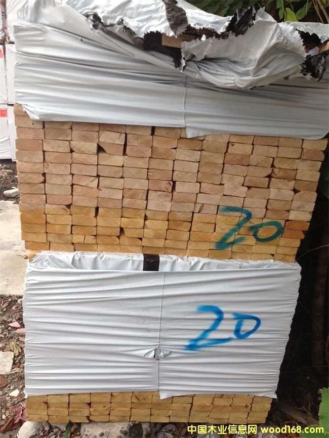 �Fɼ2��(j��)��Ԕ��(x��)��B