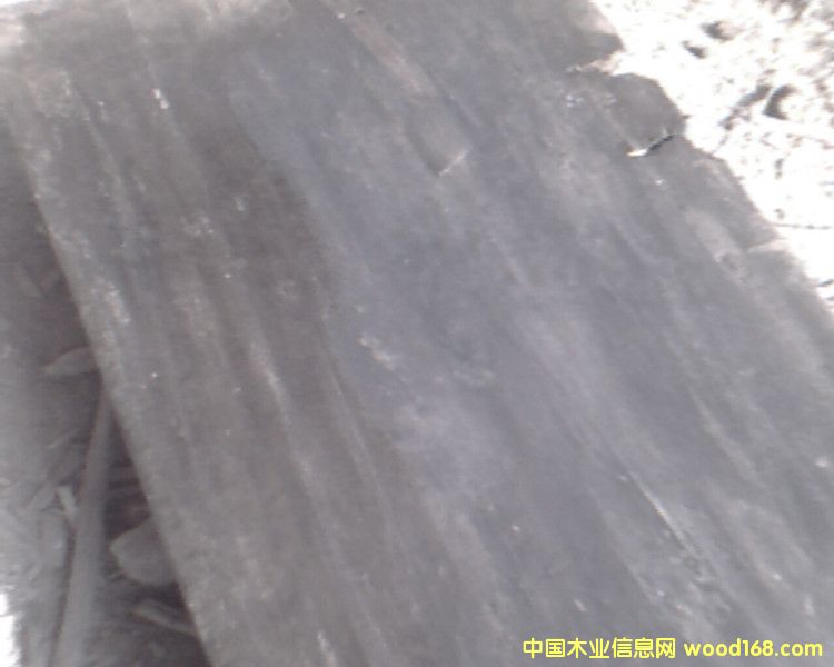 �ٹ���Ԕ��(x��)��B