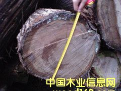 ���ľ��Ԕ��(x��)��B