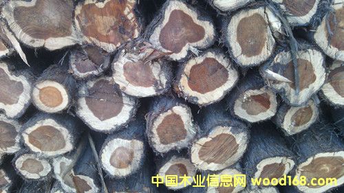 ɽ�|���ؼt�İ�ľ��Ԕ��(x��)��B