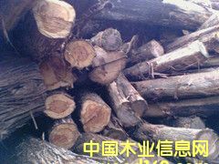 ���ľ��Ԕ��(x��)��B