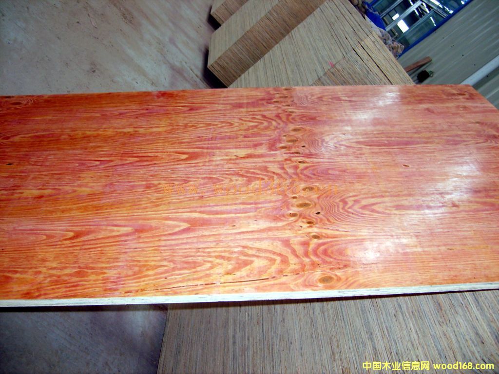 50cmɼľ��;���򘶡��������G����Ԕ����B